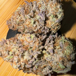 Watermelon Zkittlez - odrůda marihuany, semena konopí