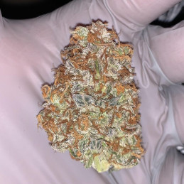 Fat Banana Automatic