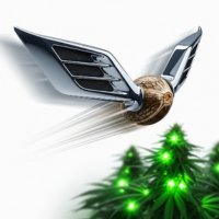 Semena konopí Fast Version