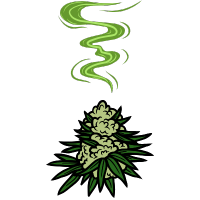 Odrůdy konopí se slabým zápachem