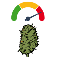 Nejsilnější Odrůdy Konopí