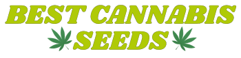 BestCannabisSeeds.cz