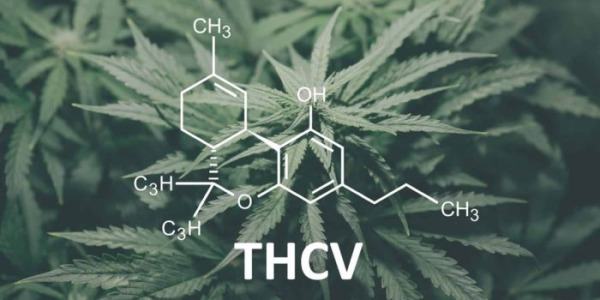 Co to je THCV a jak se liší od THC?