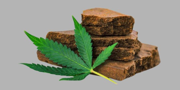 Domácí výroba hašiše – kompletní průvodce